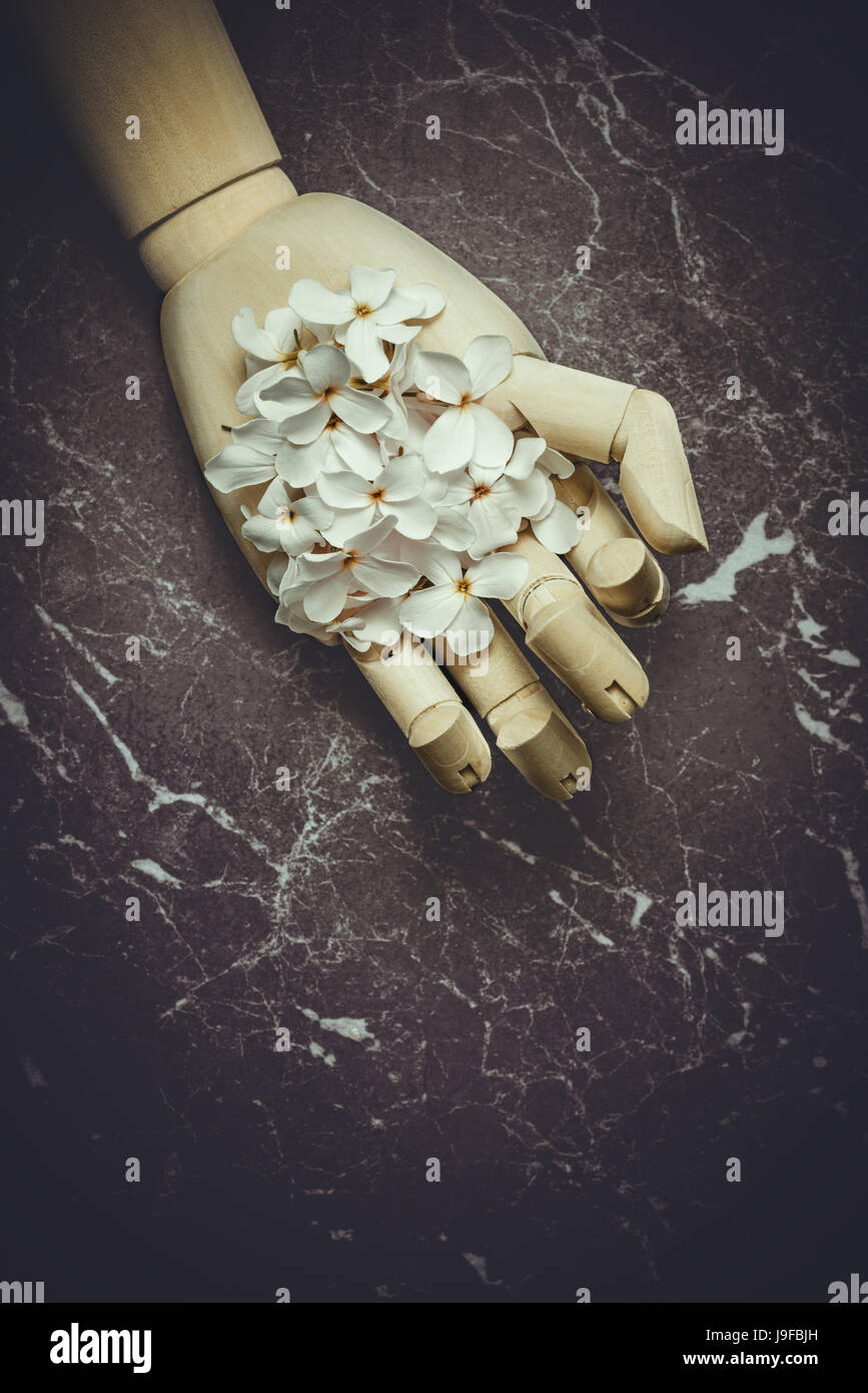 Hölzerne Künstler Hand voll von gefallenen Blütenblättern Stockfoto