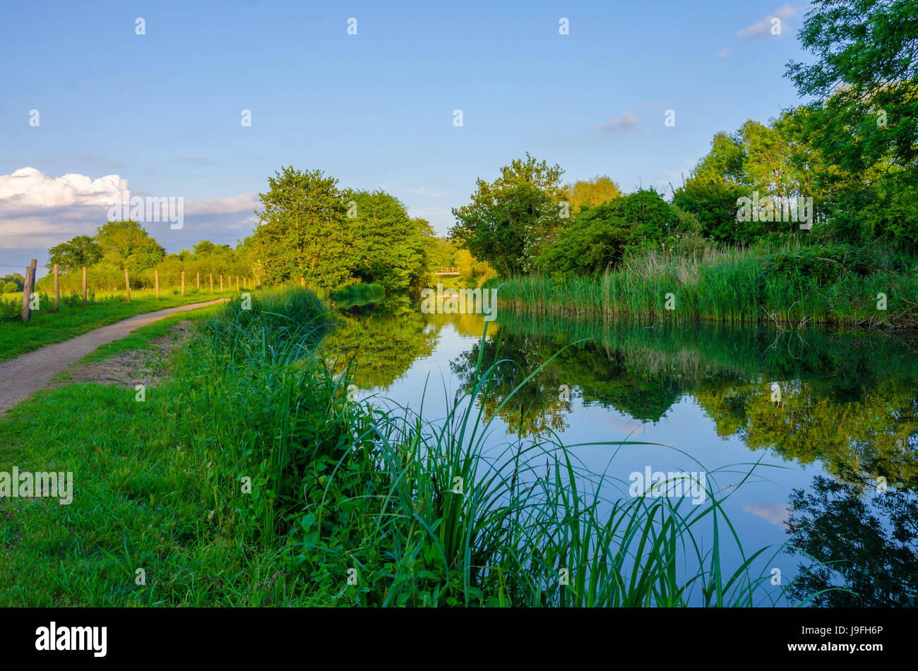 Ein Blick nach unten der Fluss Kennet Lesung, Berkshire in den späten Abendstunden. Stockfoto