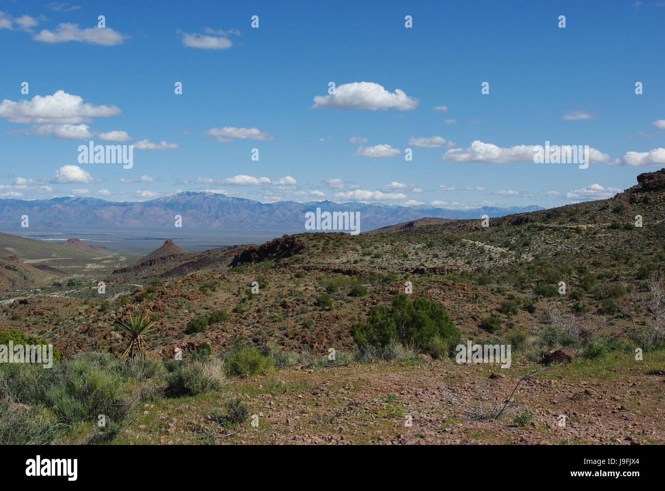 Wüste, Ödland, Rock, Strauch, Yucca, Mountainbike, blau, Wüste, Ödland, Stockfoto