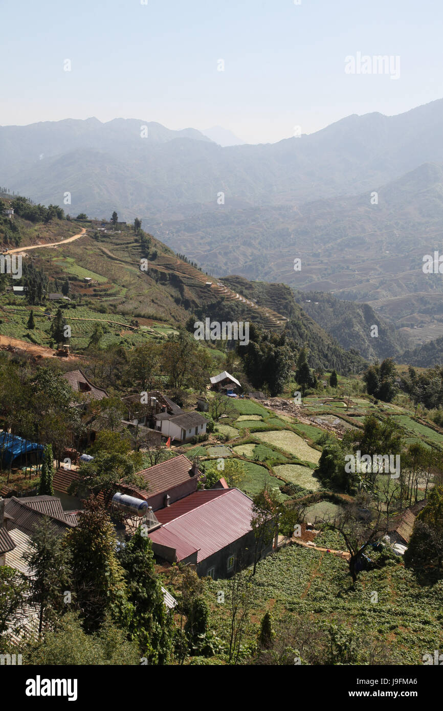 Feld, Highland, Viet Nam, Vietnam, Feld, Highland, Viet Nam, Vietnam, Sapa, Stockfoto