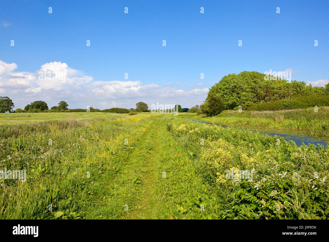 ein Sommer-Kanal und Leinpfad in Yorkshire mit Wiesen und Wäldern bei bewölktem Himmel blau Stockfoto