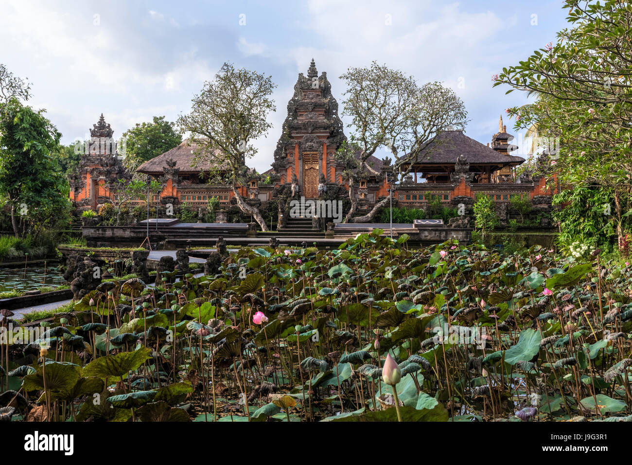 Taman Saraswati Tempel, Ubud, Bali, Indonesien, Asien Stockfoto