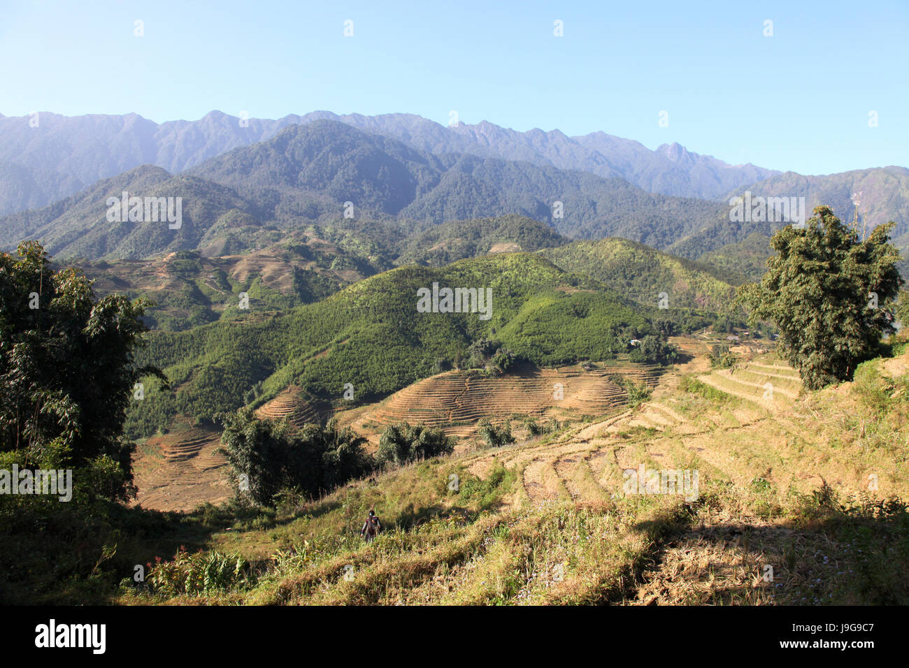Landschaft bei sapa Stockfoto