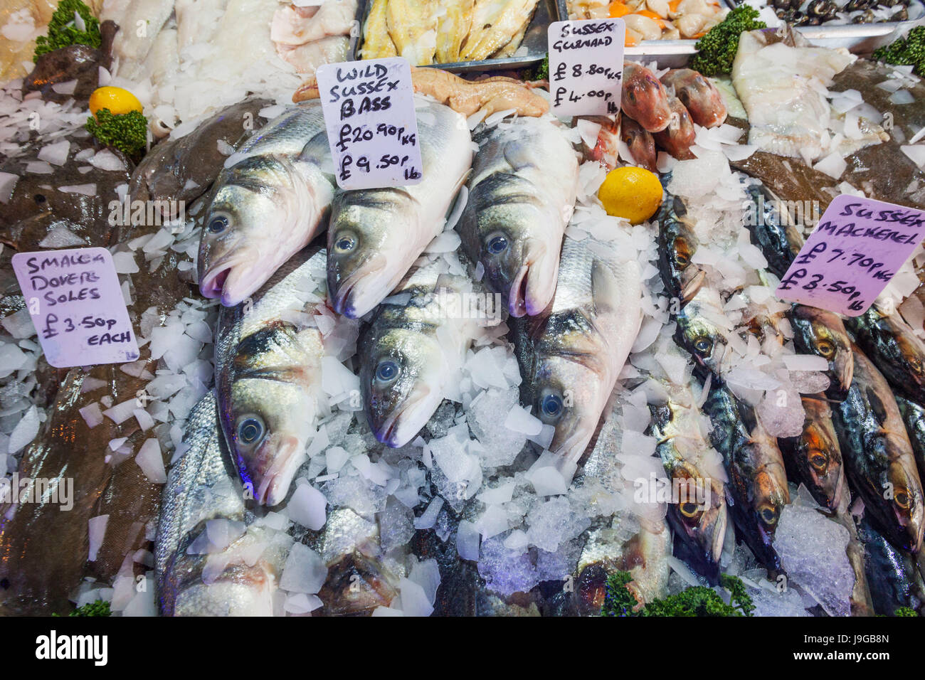 England, London, Southwark, Borough Market, Fisch Stall Anzeige der Bass Stockfoto
