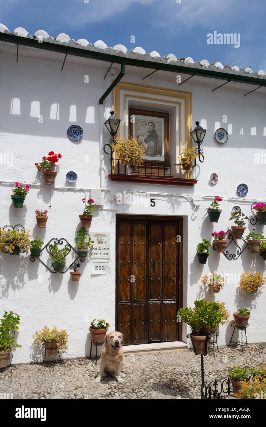 Spanien, Andalusien, Provinz Córdoba, Priego de Cordoba Stadt, San Antonio Platz, Stockfoto