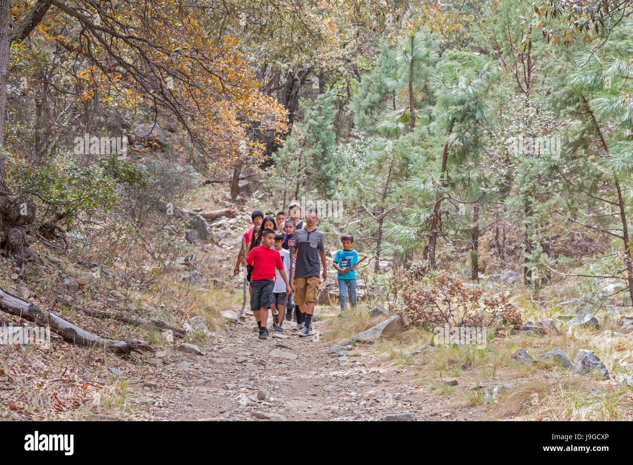 Continental, Arizona - hispanischen Kinder Wandern auf dem Wanderweg Carrie Nation Madera Canyon, einer beliebten Gegend der US Forest Service in Santa Ri Stockfoto