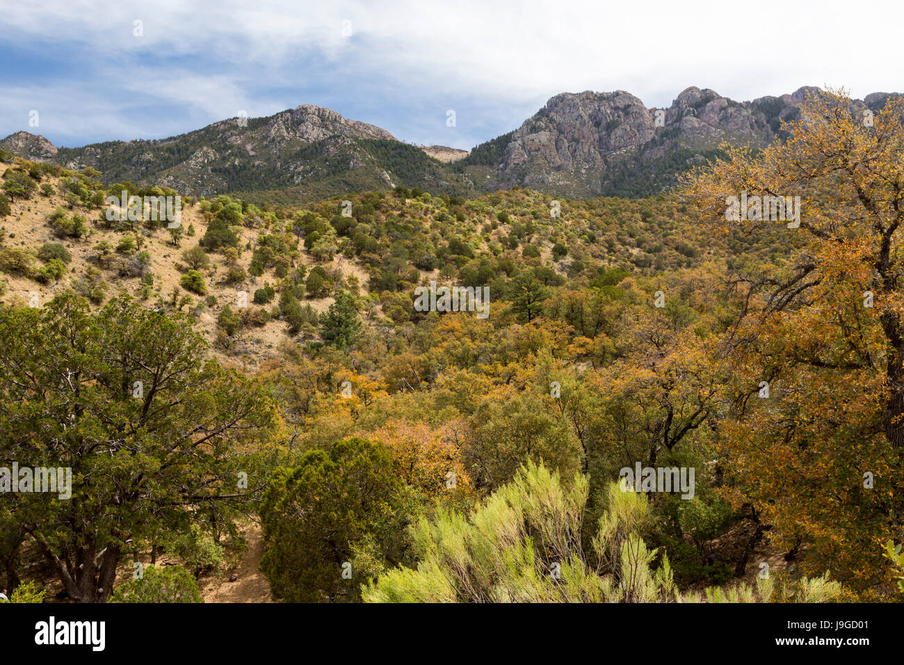 Continental, Arizona - das Hochland über Madera Canyon, einer beliebten Gegend der US Forest Service in den Santa Rita Mountains. Stockfoto