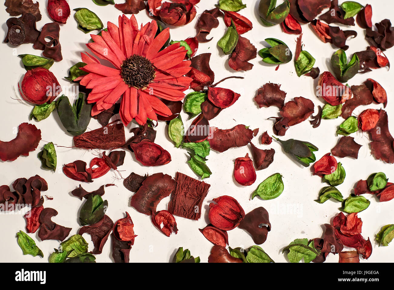 Trockene Blumen und Blätter, komponieren eine schöne Textur mit rot und grün als vorherrschende Farben und verschwommenen weiß als Hintergrund Stockfoto