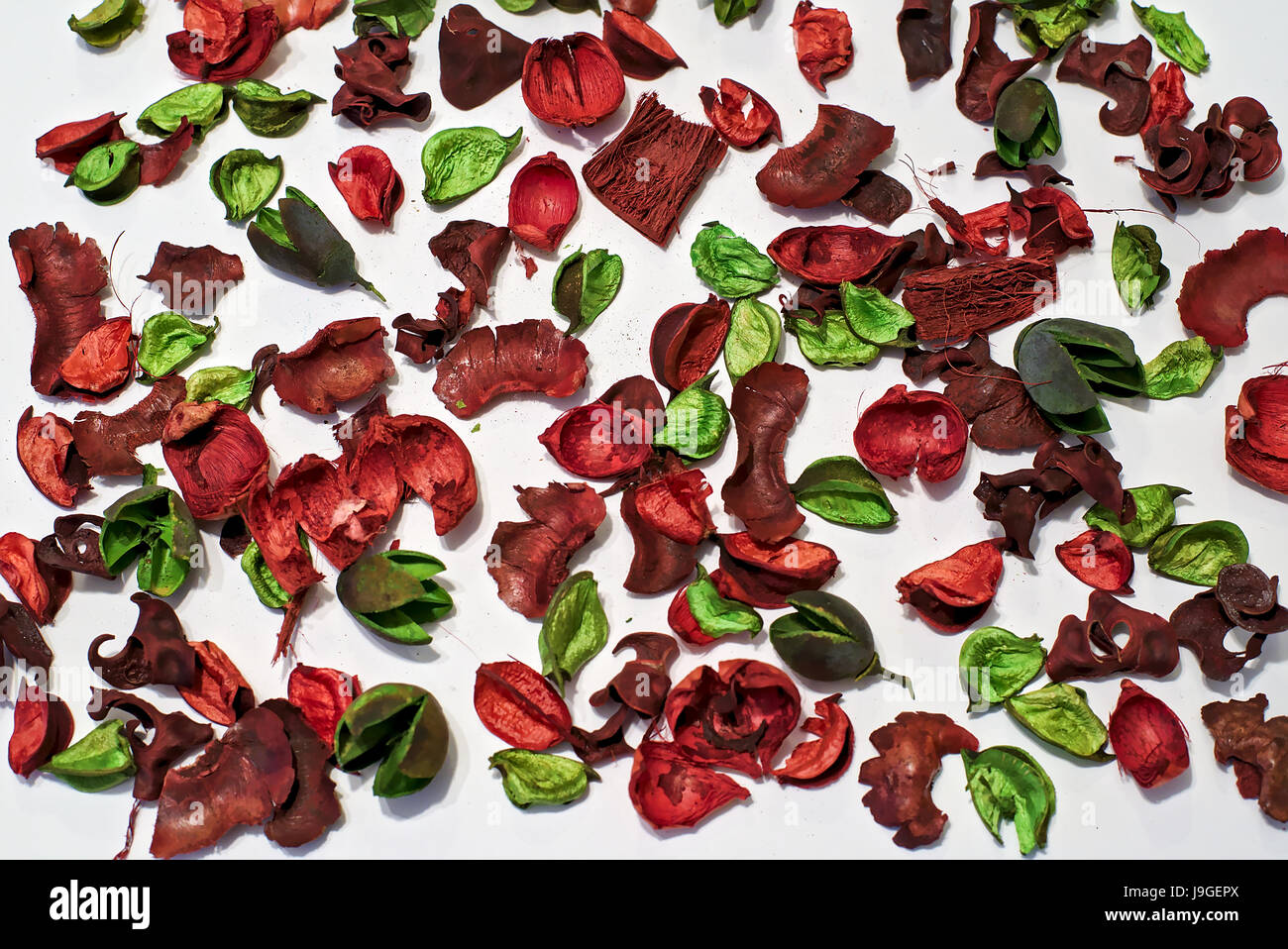 Trockene Blumen und Blätter, komponieren eine schöne Textur mit rot und grün als vorherrschende Farben und verschwommenen weiß als Hintergrund Stockfoto