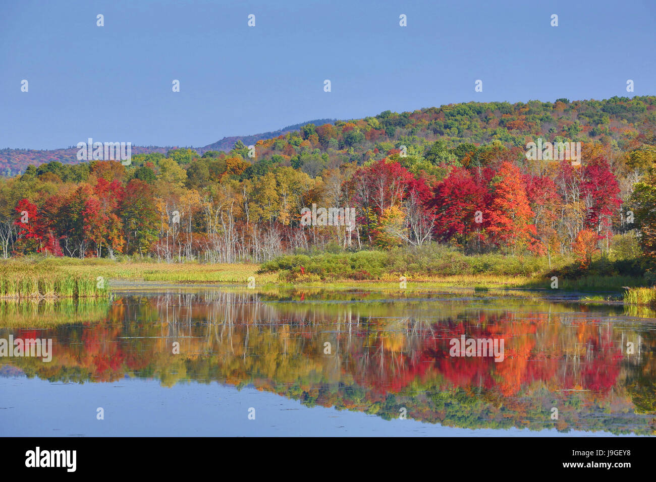 USA, Massachusetts, Berkshire District, Shakers Teich Stockfoto