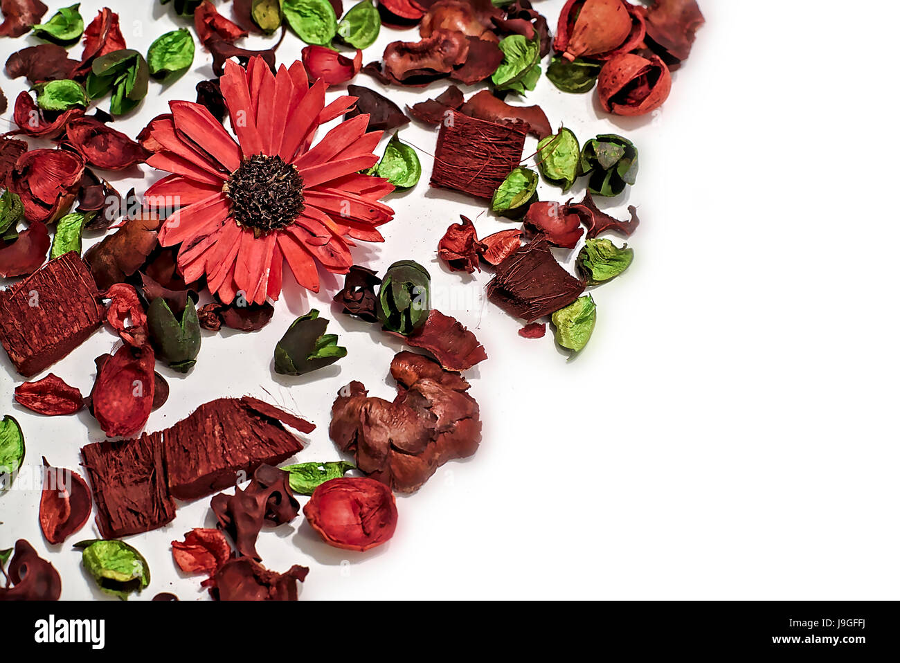 Trockene Blumen und Blätter, komponieren eine schöne Textur mit rot und grün als vorherrschende Farben und verschwommenen weiß als Hintergrund Stockfoto