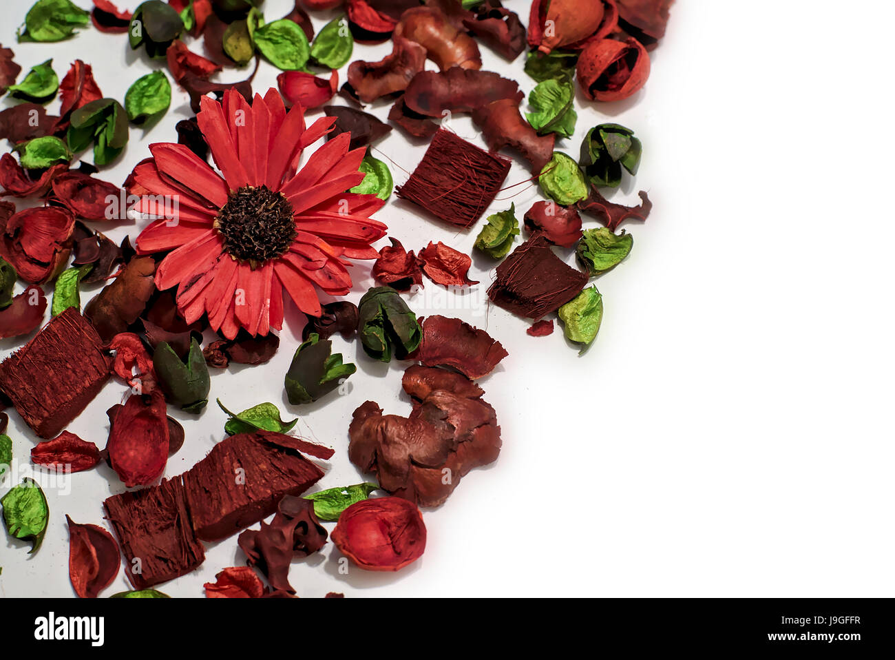 Trockene Blumen und Blätter, komponieren eine schöne Textur mit rot und grün als vorherrschende Farben und verschwommenen weiß als Hintergrund Stockfoto