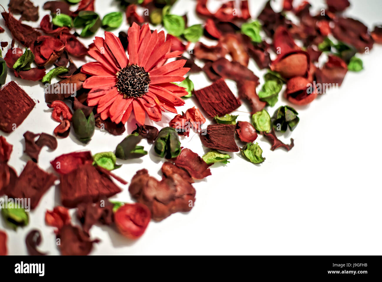 Trockene Blumen und Blätter, komponieren eine schöne Textur mit rot und grün als vorherrschende Farben und verschwommenen weiß als Hintergrund Stockfoto