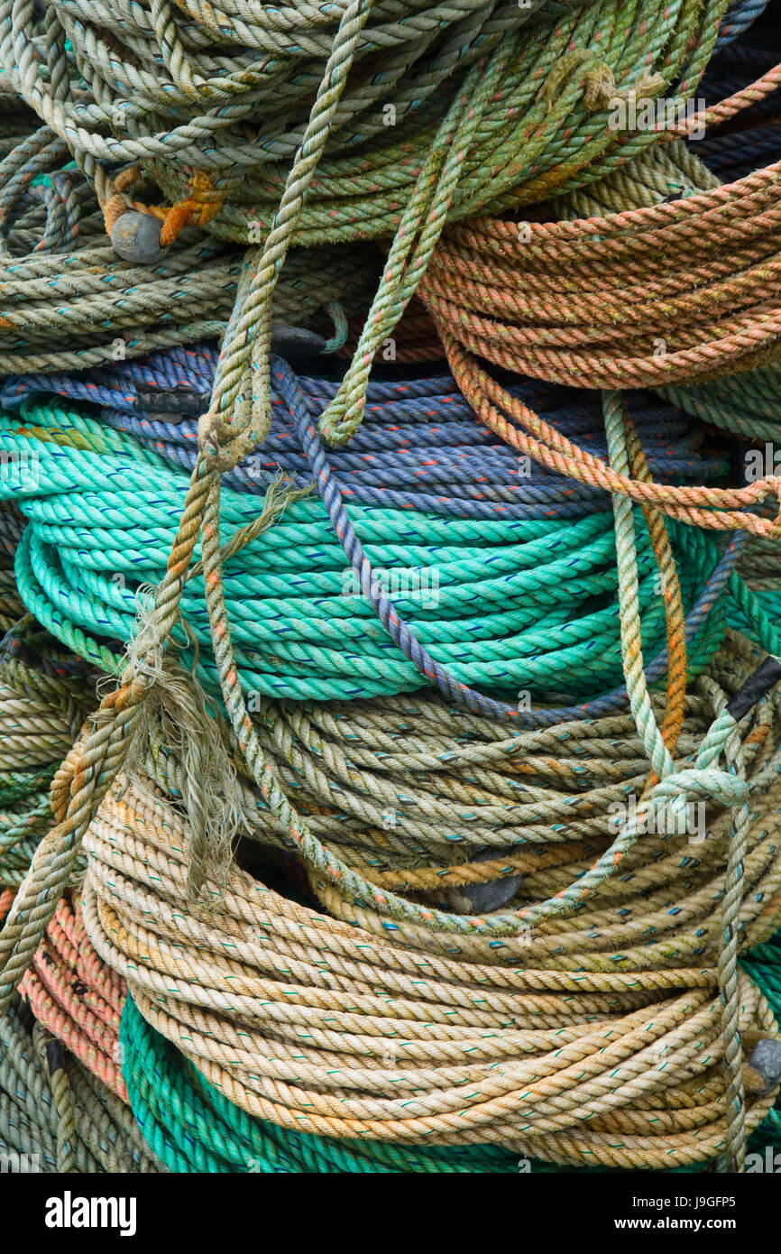 Seil, Hafen von Newport, Newport, Oregon Angeln Stockfoto