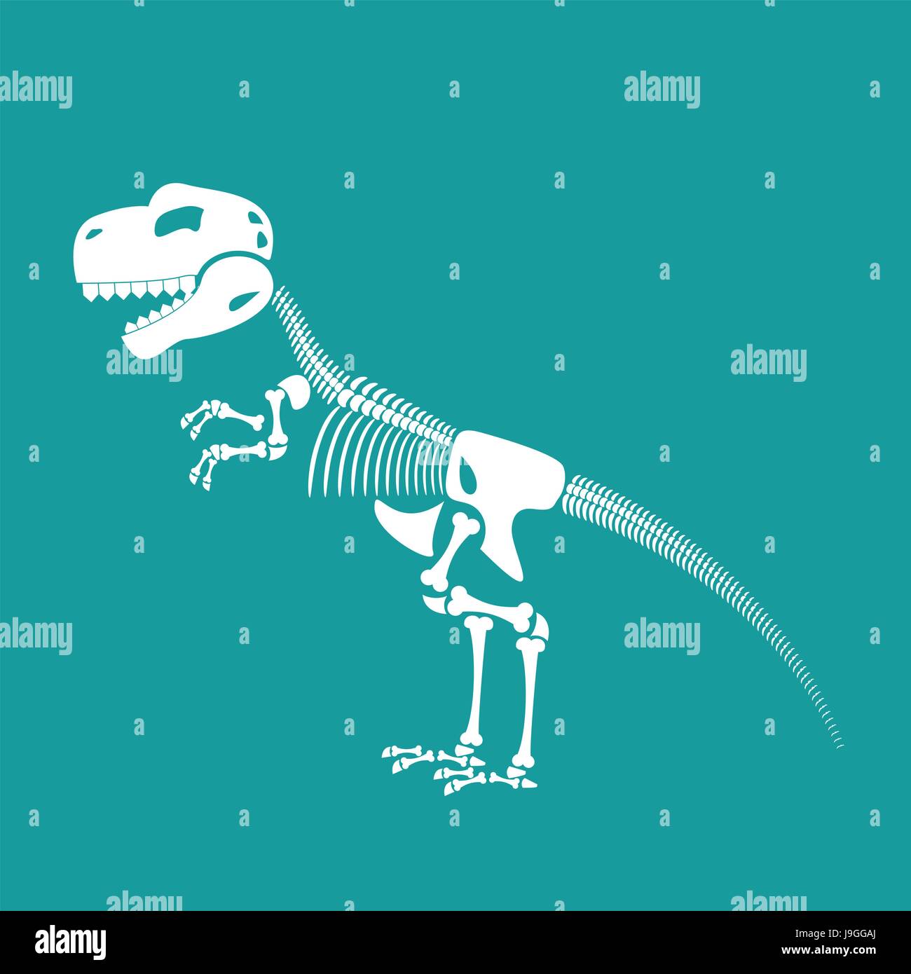 Dinosaurier-Skelett isoliert. Reste des Tyrannosaurus. T-Rex Schädel. Prähistorische Monster. Alten Reptilien. Raubtier-Jura Stock Vektor