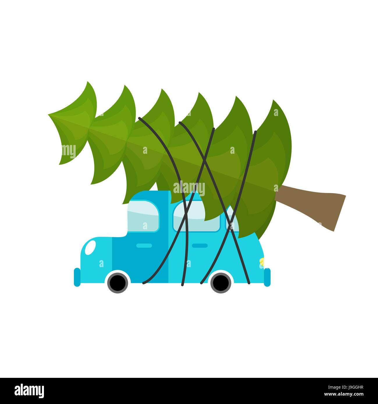 Auto und Tanne. Maschine, angetrieben von grüner Baum im neuen Jahr. Grüne große Fichte Stock Vektor