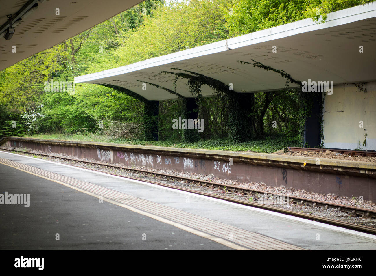 Stillgelegten Bahnsteig, Chessington Südbahnhof, hätte für durchgehende Züge von Leatherhead, aber die Linie war WW2 abgesagt. Stockfoto