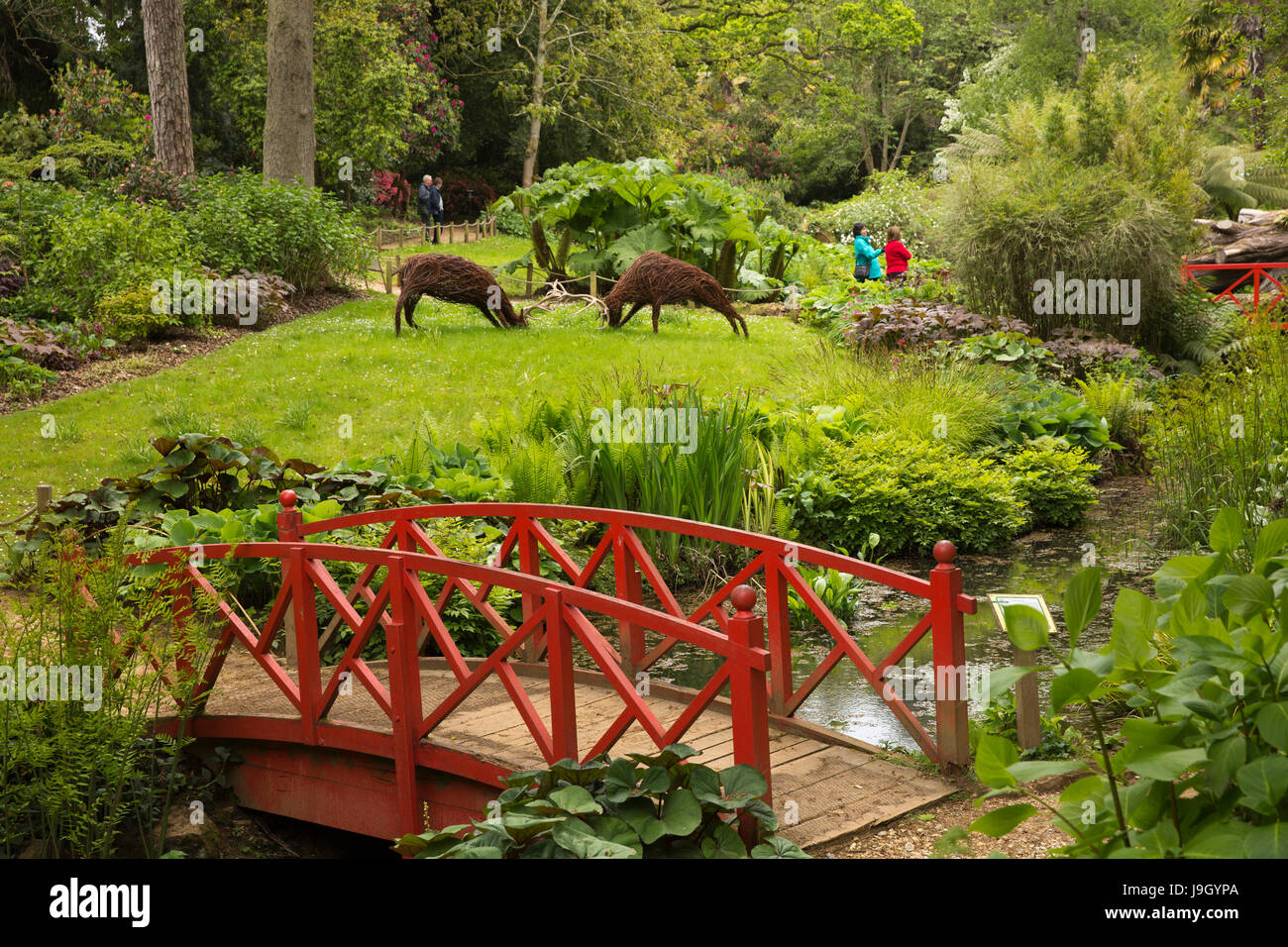 UK England, Dorset, Abbotsbury, Sub-tropische Gärten, Jo Sadlers Spurrinnenbildung Hirsche Weide in der Nähe von orientalischen Brücke Skulptur Stockfoto