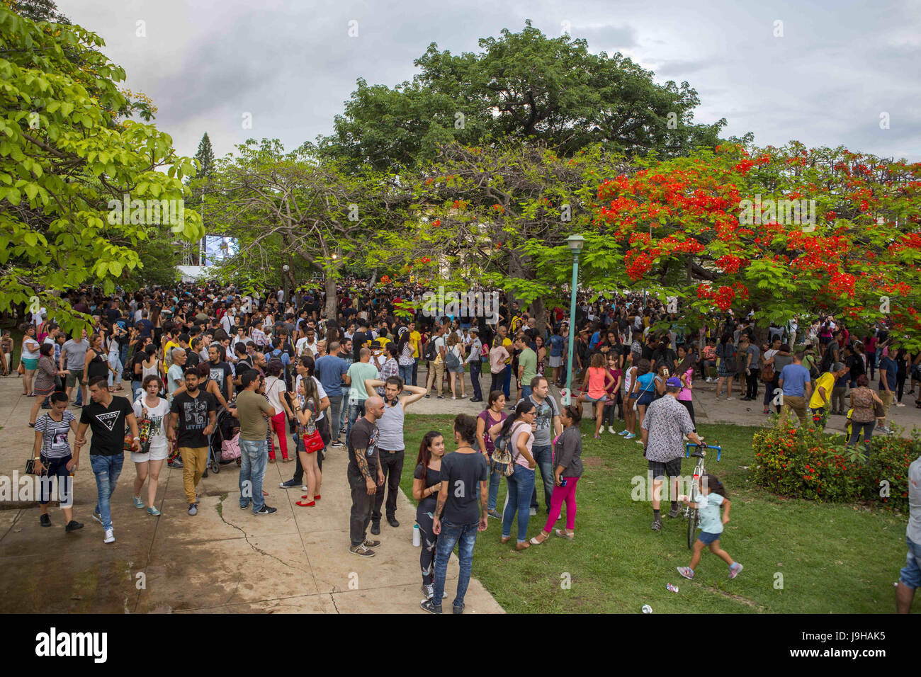 Havanna, Kuba. 1. Juni 2017. Beatles Tribute Open-Air-Konzert in John Lennon Park in Havanna, Kuba zur Feier der Veröffentlichung von das Wahrzeichen Album '' Sgt.Pepper die Lonely Hearts Club Band'' vor 50 Jahren am 1. Juni 2017. Bildnachweis: Diana Mrazikova/ZUMA Wire/ZUMAPRESS.com/Alamy Live-Nachrichten Stockfoto