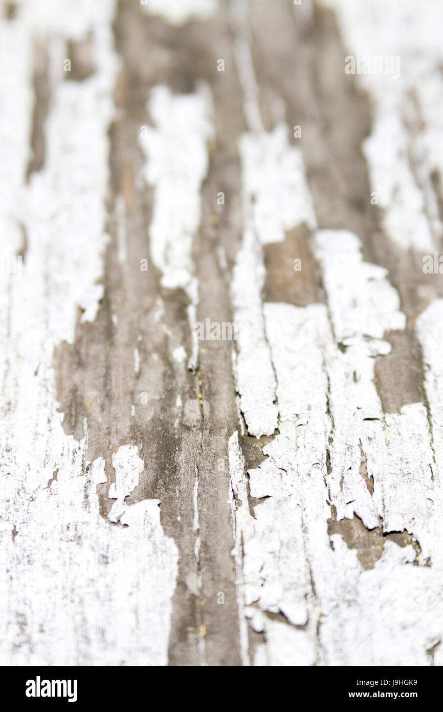 Alten Holzgeländer mit weißen abgeplatzte Farbe Stockfoto
