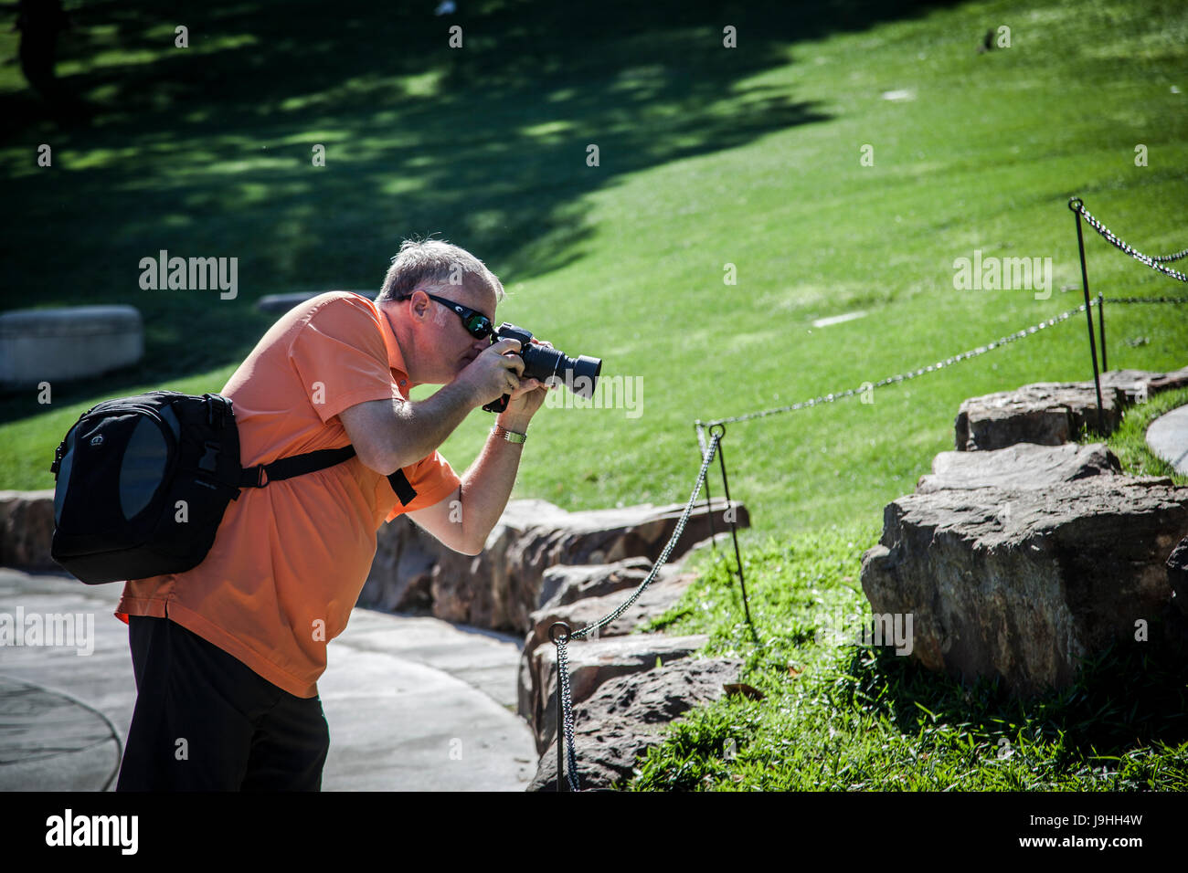 Fotografen Fotografieren eines Teiches in Dallas Arboretum, Texas, USA Stockfoto