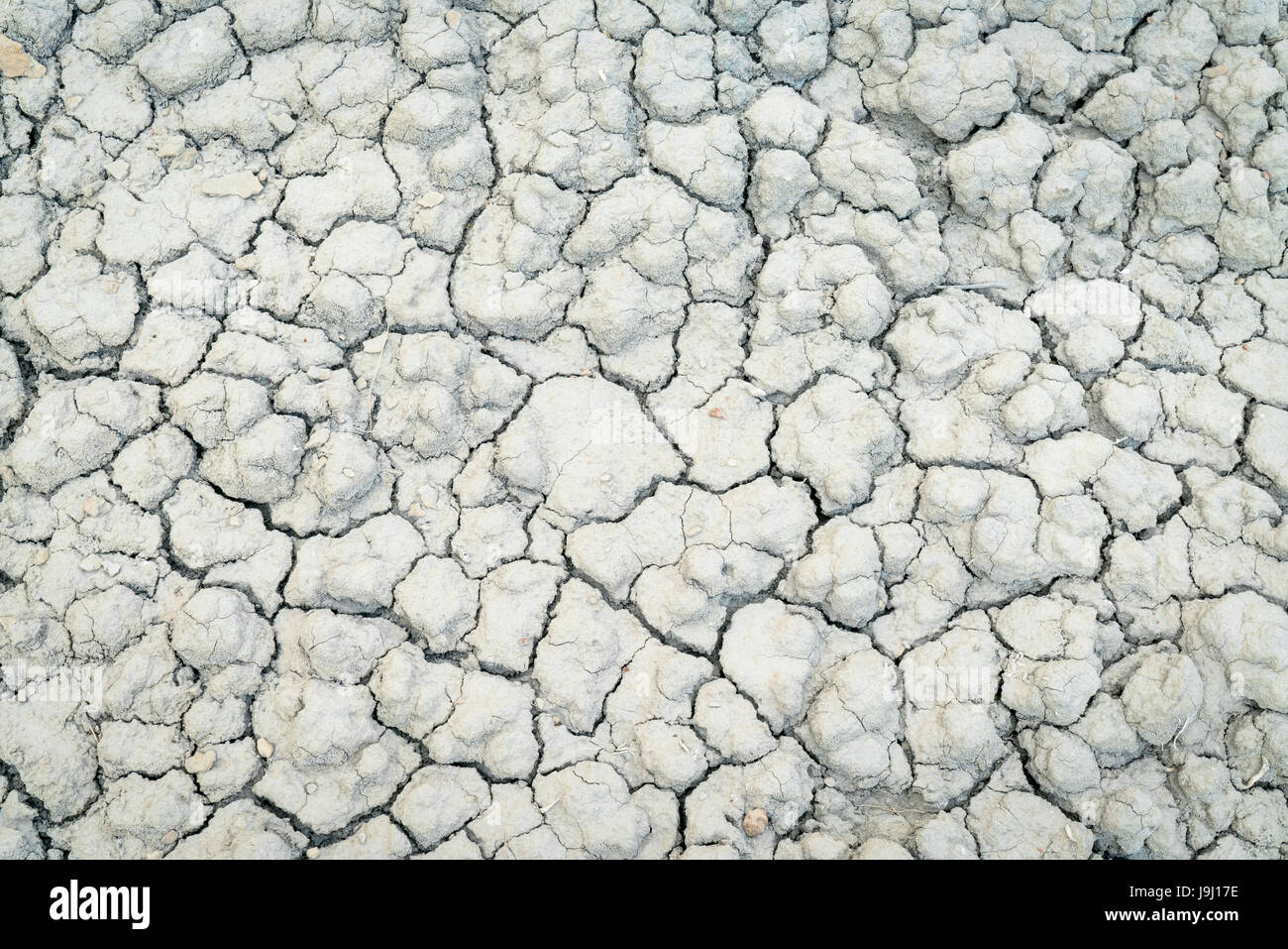 Hintergrund der trockene und rissige Wüste Boden im Buch Klippen Bereich im östlichen Utah Stockfoto