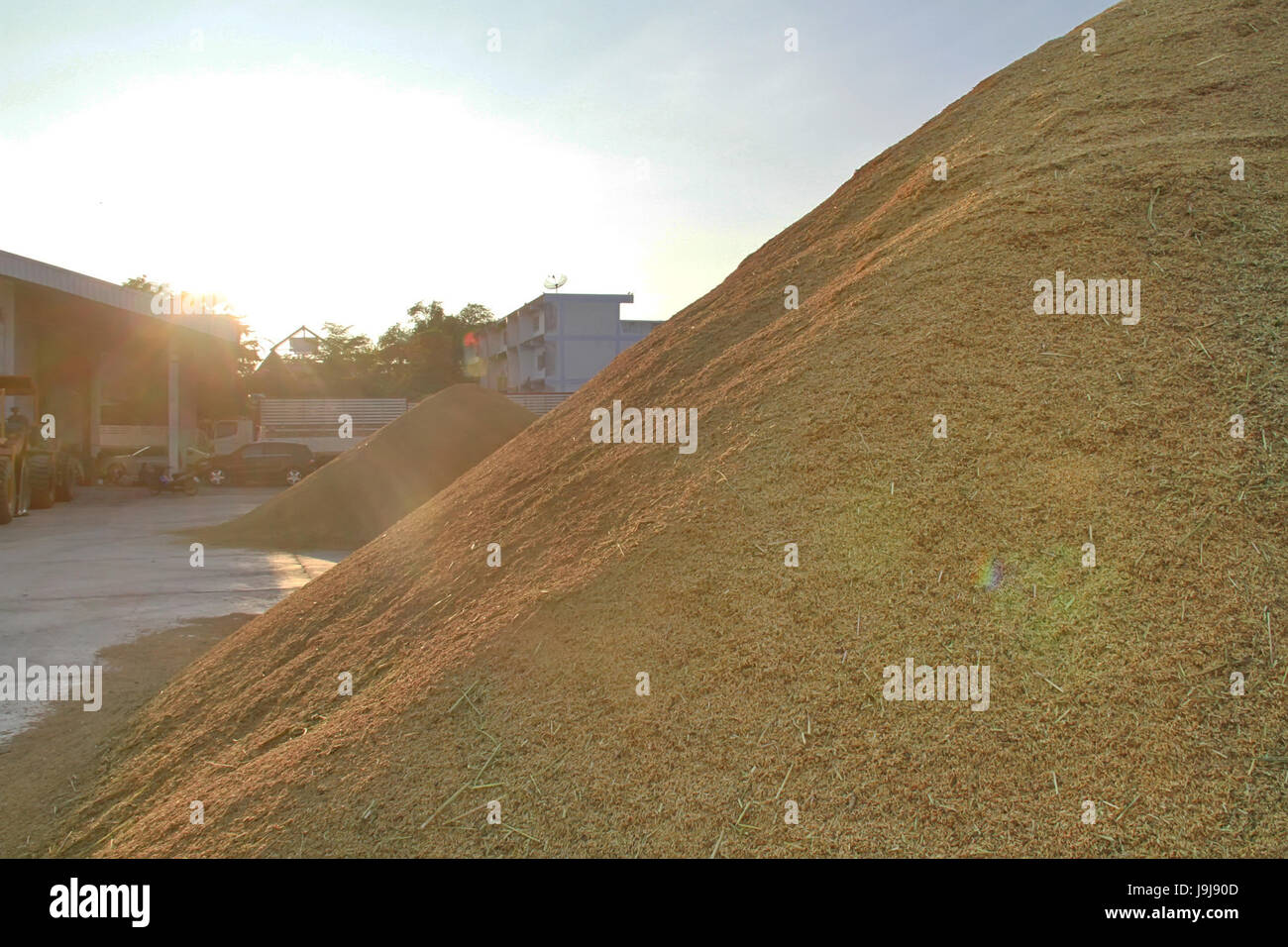 Reis-Haufen Berg hoch auf Sonnenlicht Stockfoto