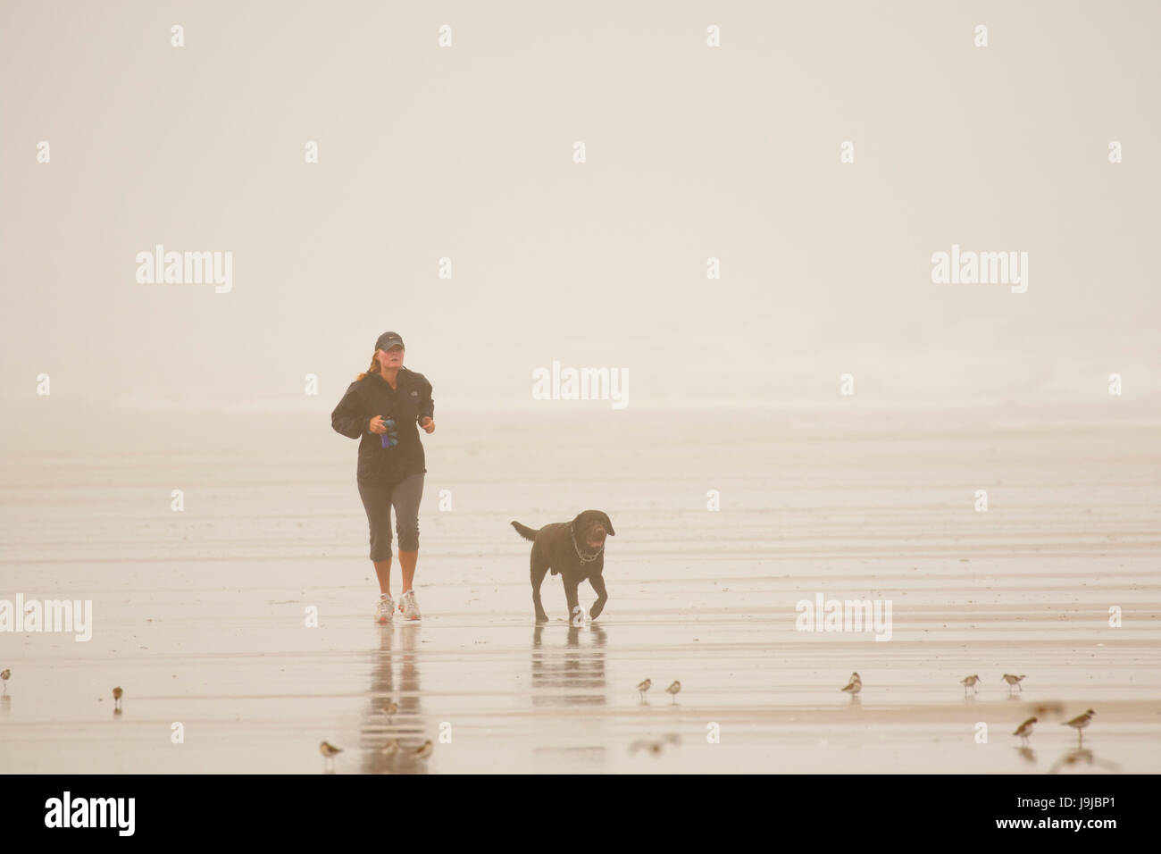 Jogger mit Hund, Driftwood Beach State Park, Oregon Stockfoto