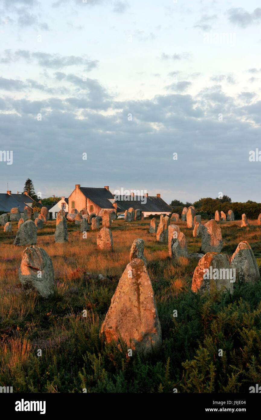 Frankreich, Morbihan, Carnac, megalithische Website von Menec Stockfoto