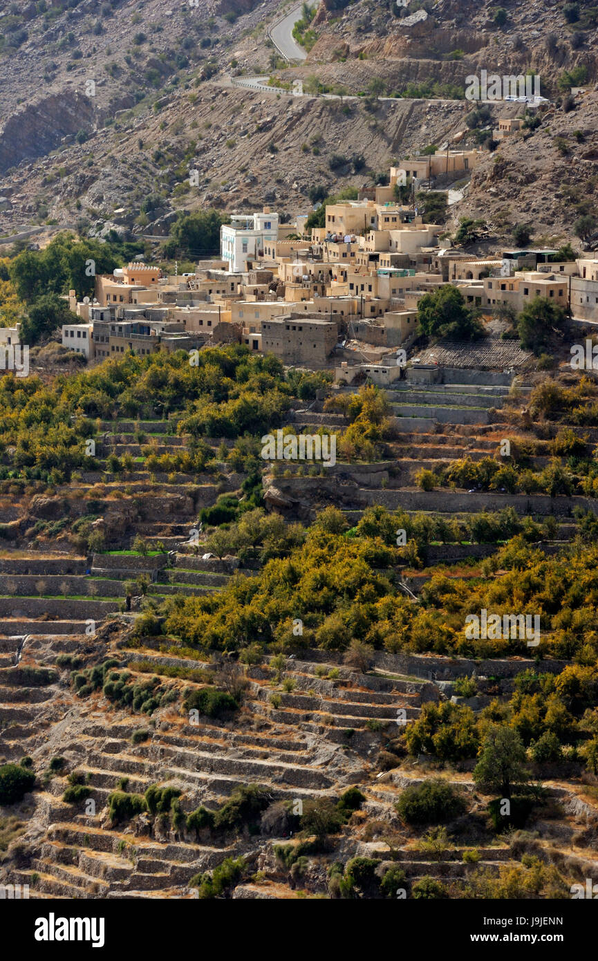 Sultanat von Oman, Al-Dakhiliyah, westlichen Hajar-Gebirge, Jabel Akhdar Stockfoto