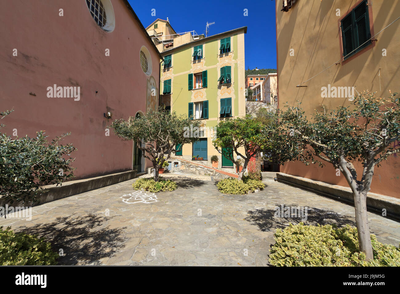 Ort, Stadt, Baum, Quadrat, Gemeinschaft, Dorf, Stadt, Straße, Straße, Italien, Stockfoto