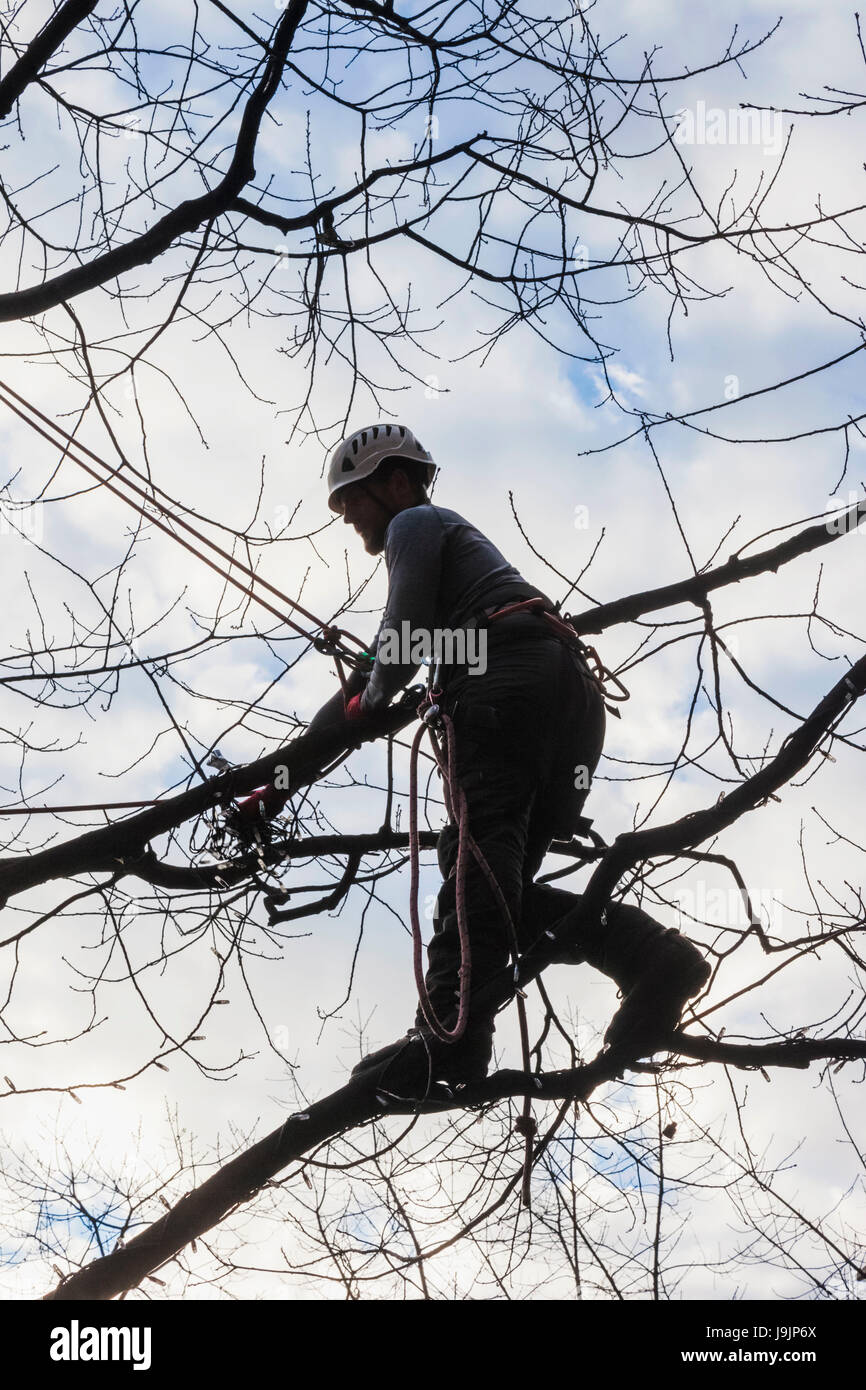 England, London, Southwark, Mann im Baum entfernen Weihnachtsbeleuchtung Stockfoto