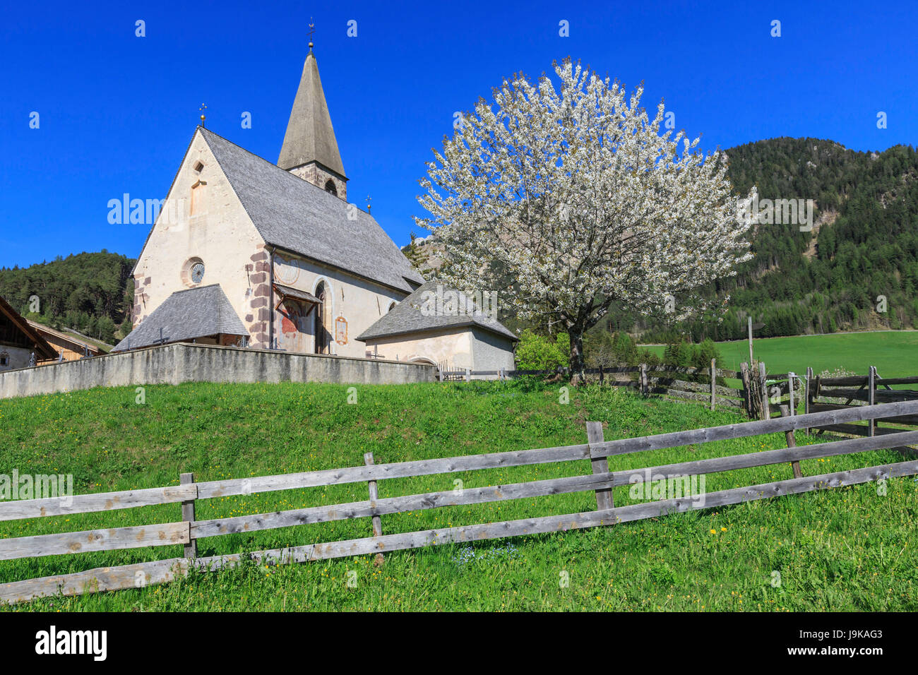 Die Kirche von Ranui St. Magdalena Val di Funes-Dolomiten in Süd-Tirol-Italien-Europa Stockfoto
