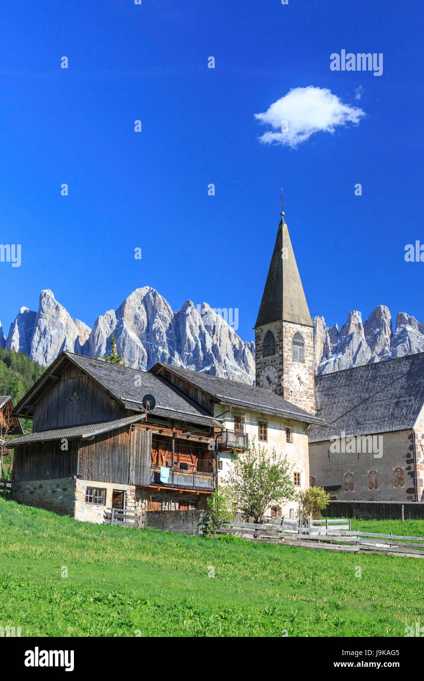 Die Kirche von Ranui und der Geisler-Gruppe im Hintergrund. St. Magdalena Villnösser Tal-Dolomiten-Südtirol-Italien-Europa Stockfoto