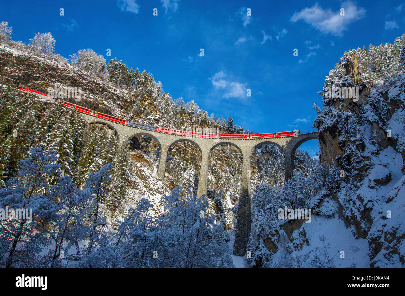 Bernina Express führt durch die verschneiten Wälder rund um Filisur Kanton Graubünden-Schweiz-Europa Stockfoto