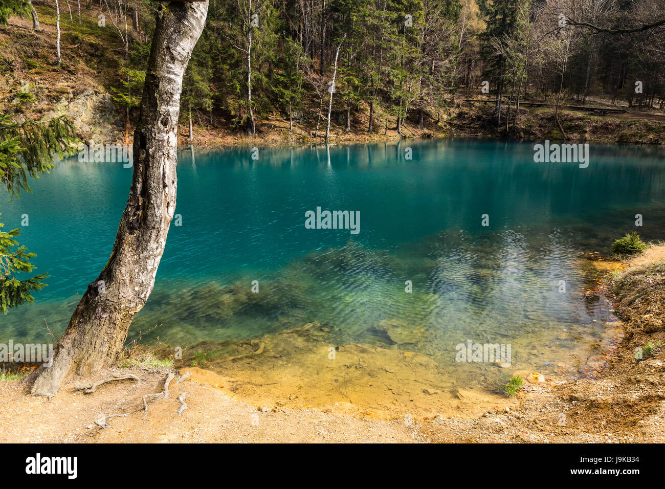 Europa, Polen, Niederschlesien, Sudeten, Rudawy Janowickie, Landeshuter Kamm, bunte purpurfarbigen, Frühling Stockfoto