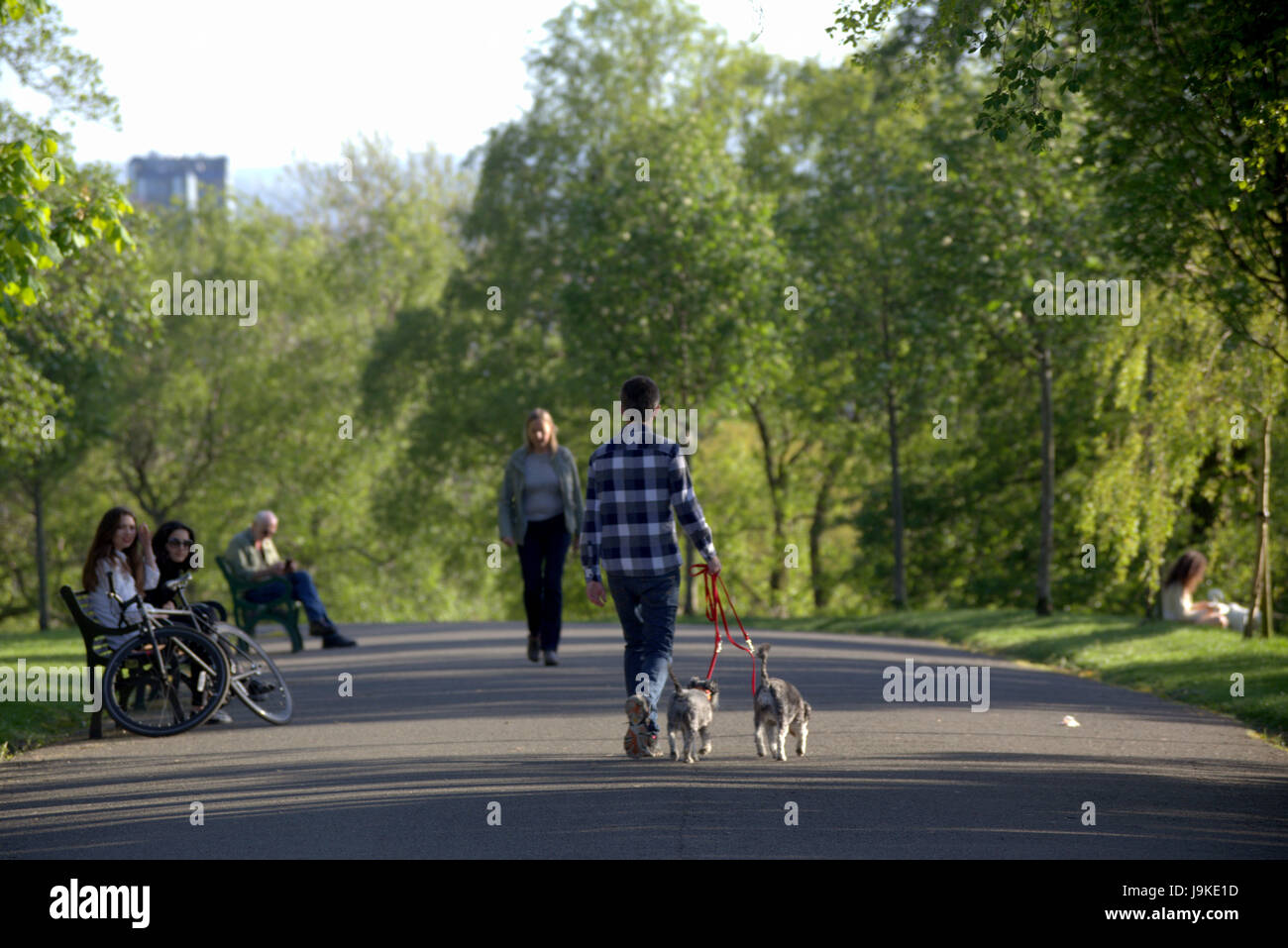 Glasgow Kelvingrove Park Szene Hundebesitzer Stockfoto