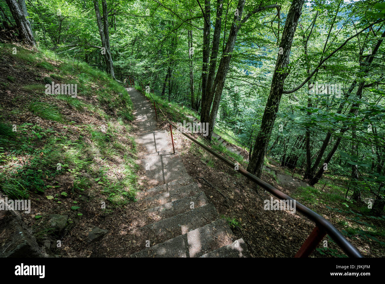 Treppe im Wald zur Burg Poenari fordert auch Poenari Zitadelle Plateau des Mount Cetatea, Rumänien, einer der wichtigsten Festung von Vlad III Pfähler Stockfoto