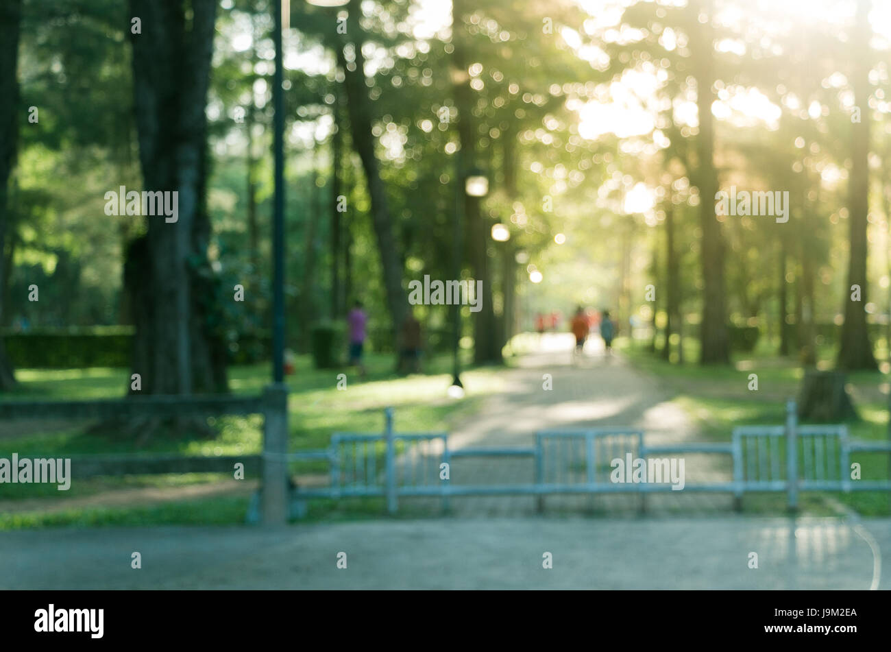 entspannende Übung Garten, leichte Ecke Stockfoto