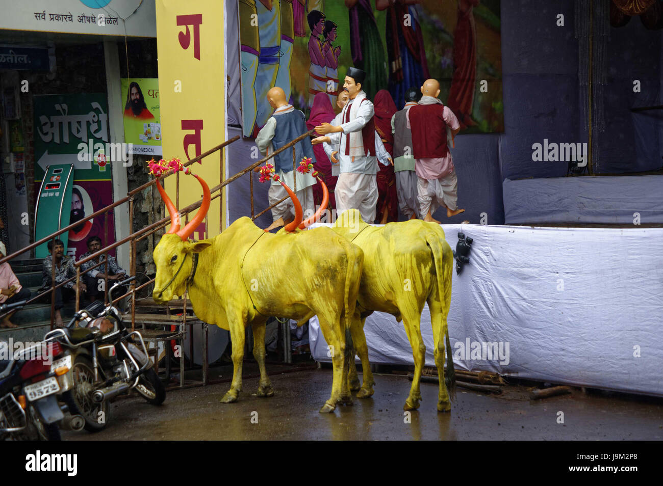 Stier in der Nähe von Solapur, Solapur, Bühne, Maharashtra, Indien, Asien Stockfoto