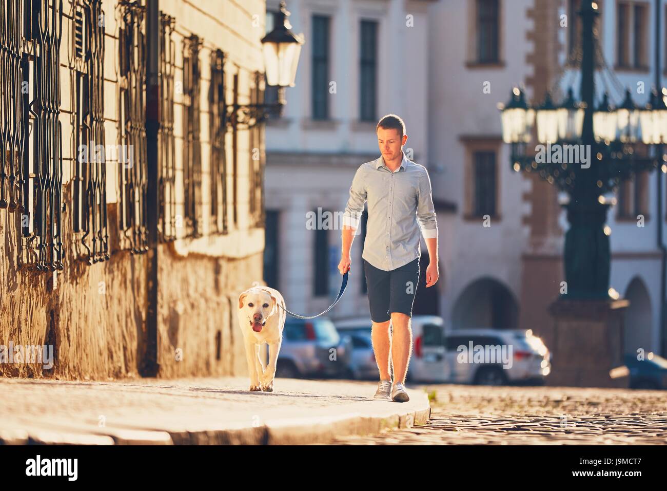 Morgen in der Stadt. Junger Mann mit seinem Hund auf der alten Straße bei golden Sunrise laufen. Prag, Tschechische Republik Stockfoto