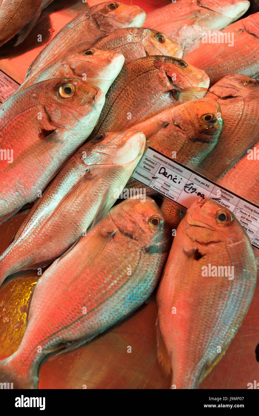 Denci oder Dorade Fisch zum Verkauf auf einem Marktstand in Marsaxlokk Malta Stockfoto