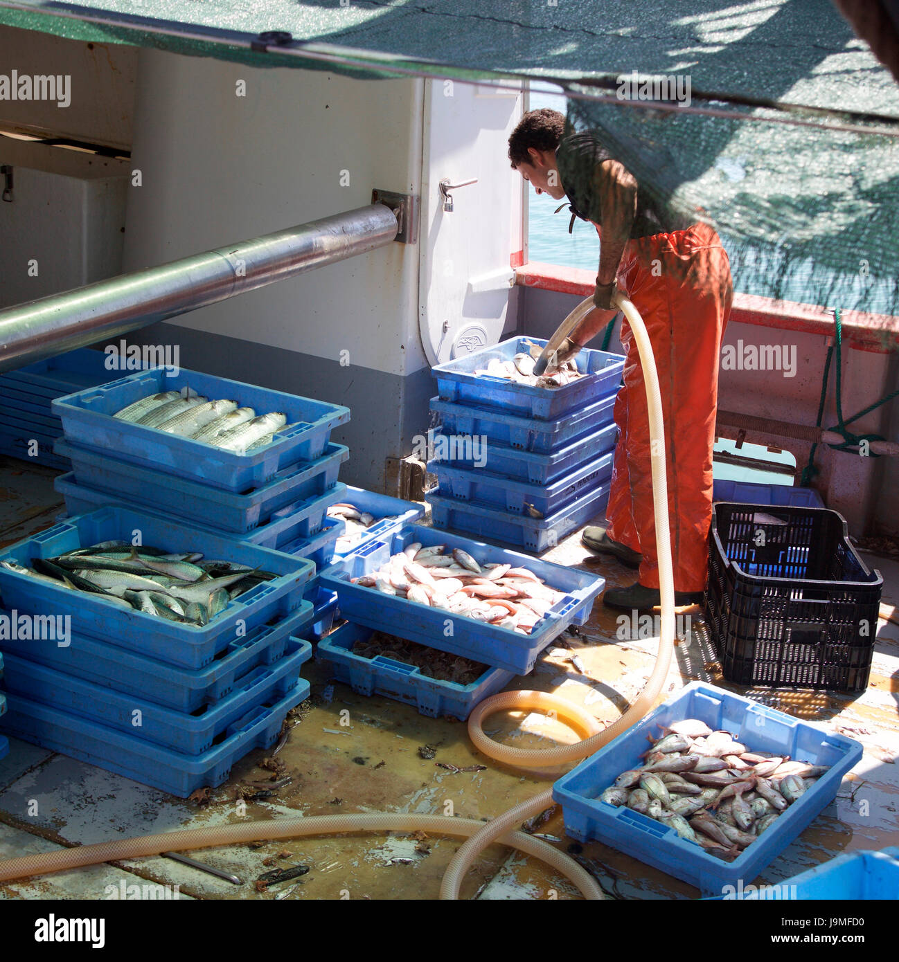 Schlauch nach unten den Fang in Peniscola Kai Fischer Stockfoto