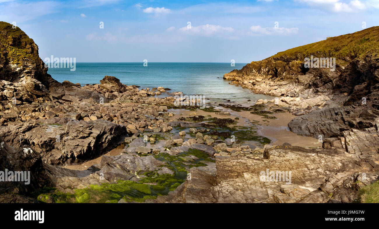 Eppahven Bucht auf Pennywilge zeigen eine felsige Bucht an der Nordküste von Cornwall in der Nähe von Port Quinn und Pentire Kopf. Stockfoto