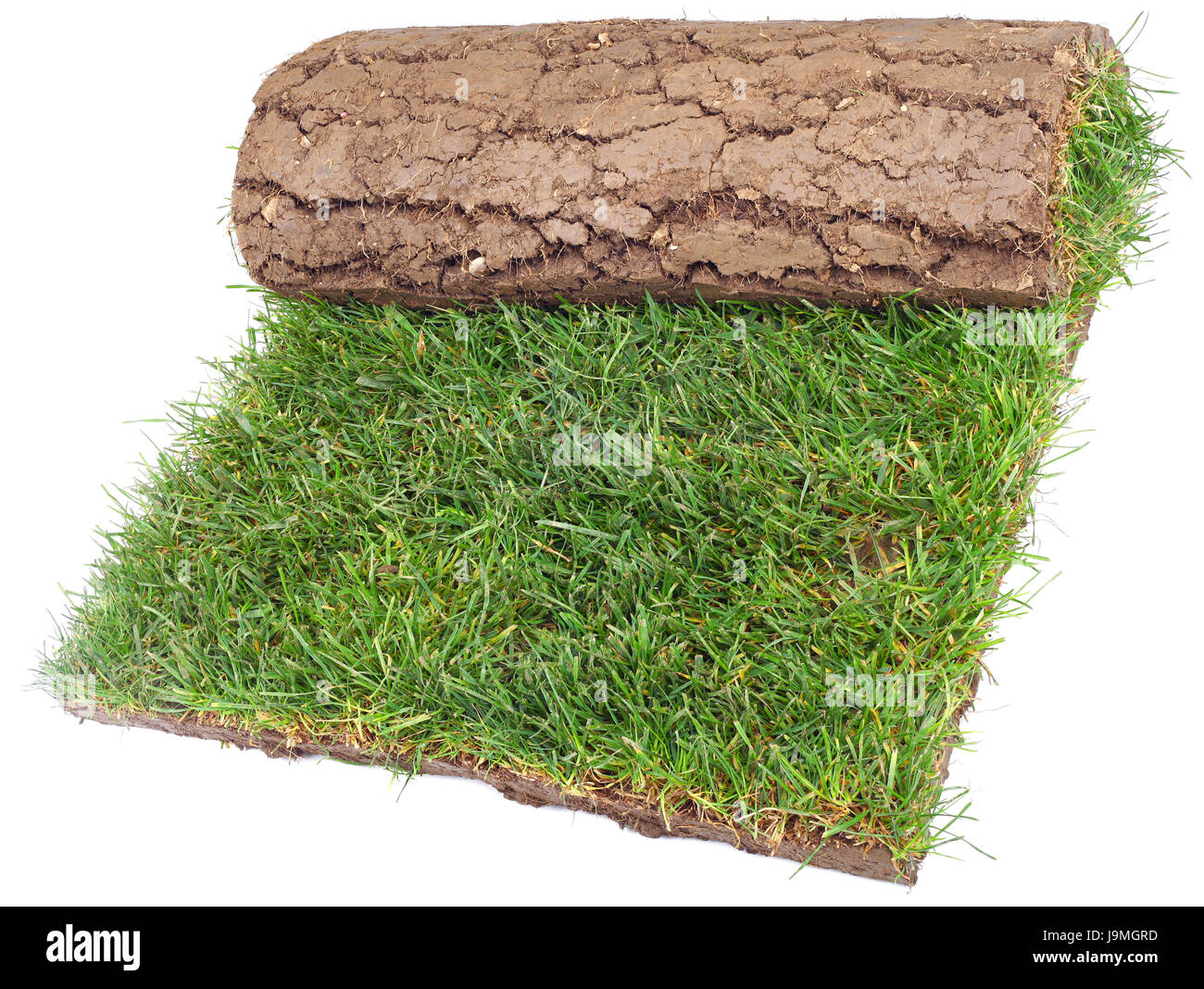 Roll Teppich Sod Teppich Walzen Wiese Rasen Rasen Grun