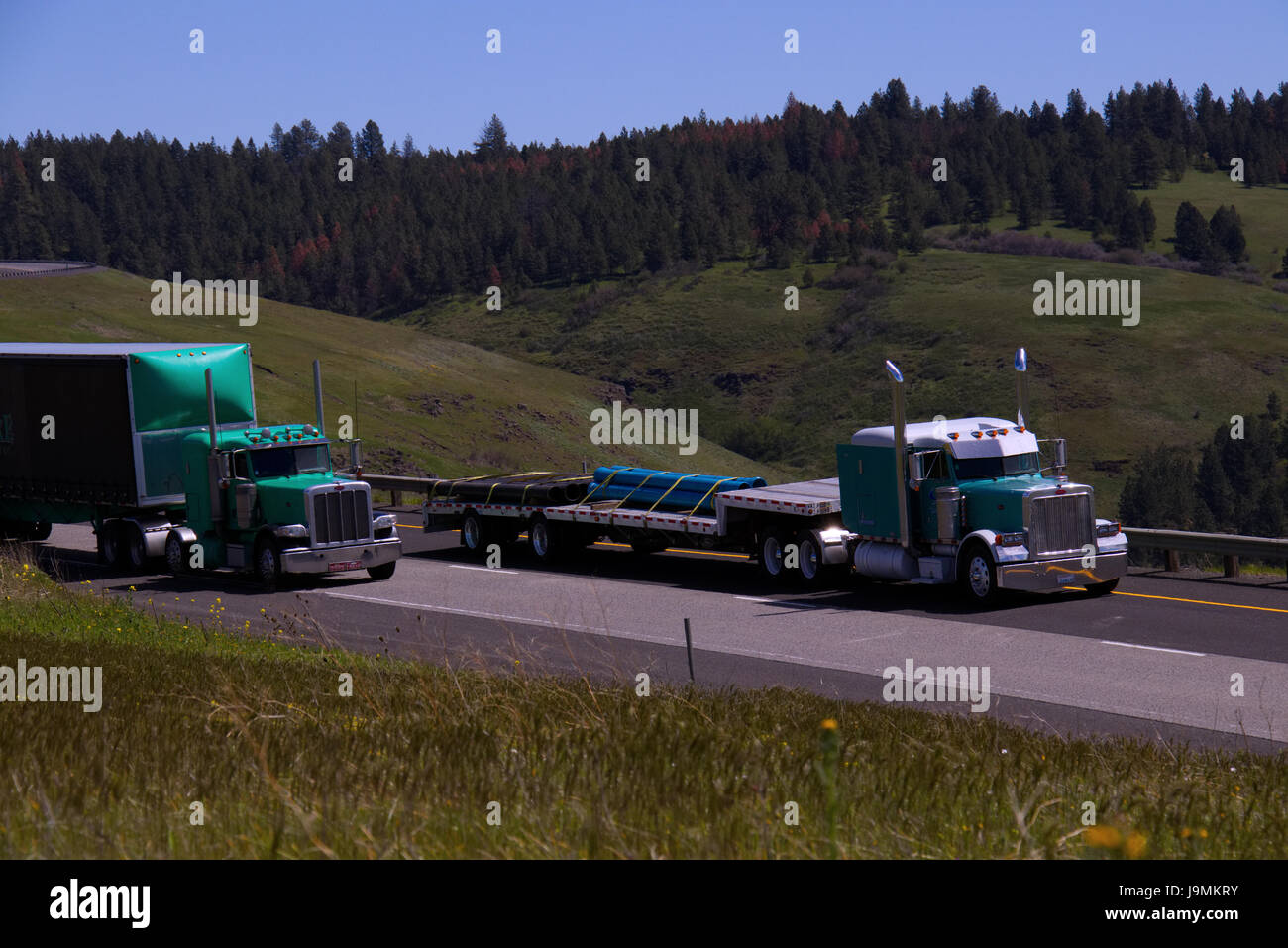 Zwei klassische semi-LKW fahren gemeinsam an einer ländlichen Oregon, USA-Autobahn. Stockfoto