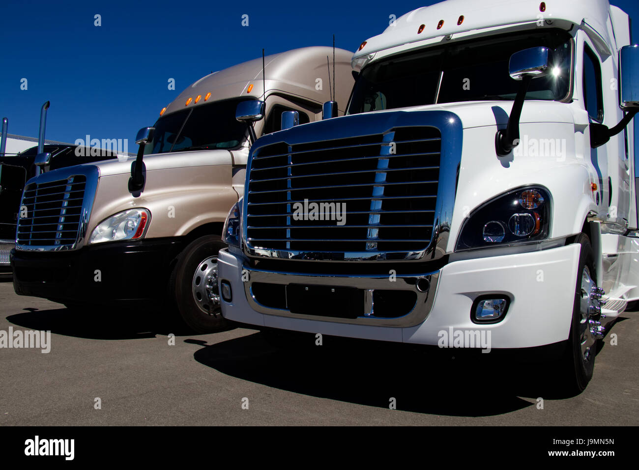 Reihen von brandneuen Sattelzügen geparkt bei einem Händler in den Vereinigten Staaten. Alle Warenzeichen und Logos entfernt. Stockfoto