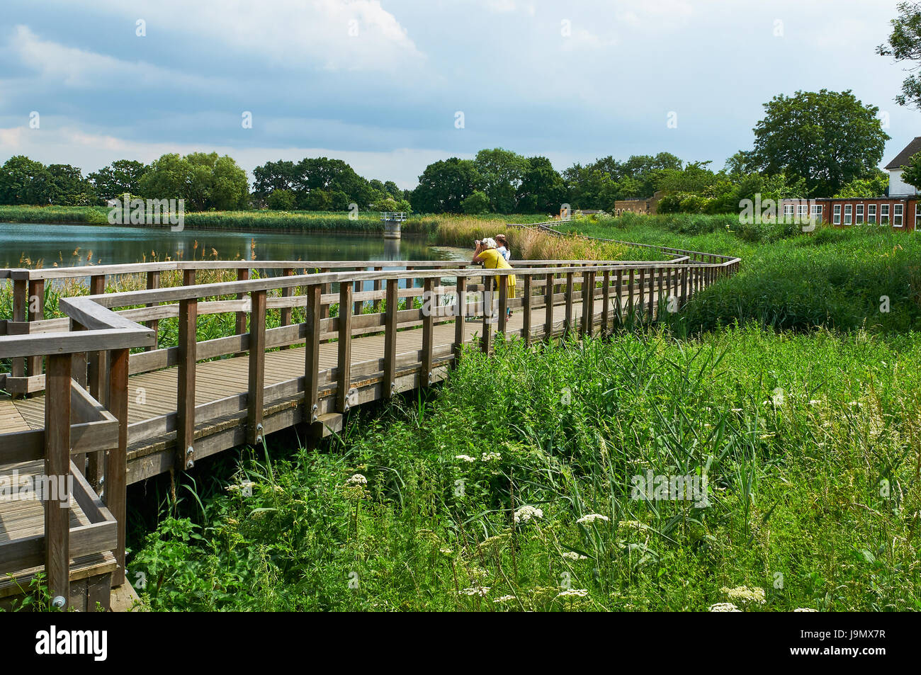 Gehweg am Woodberry Feuchtgebiete, Stoke Newington, Nord-London-UK Stockfoto