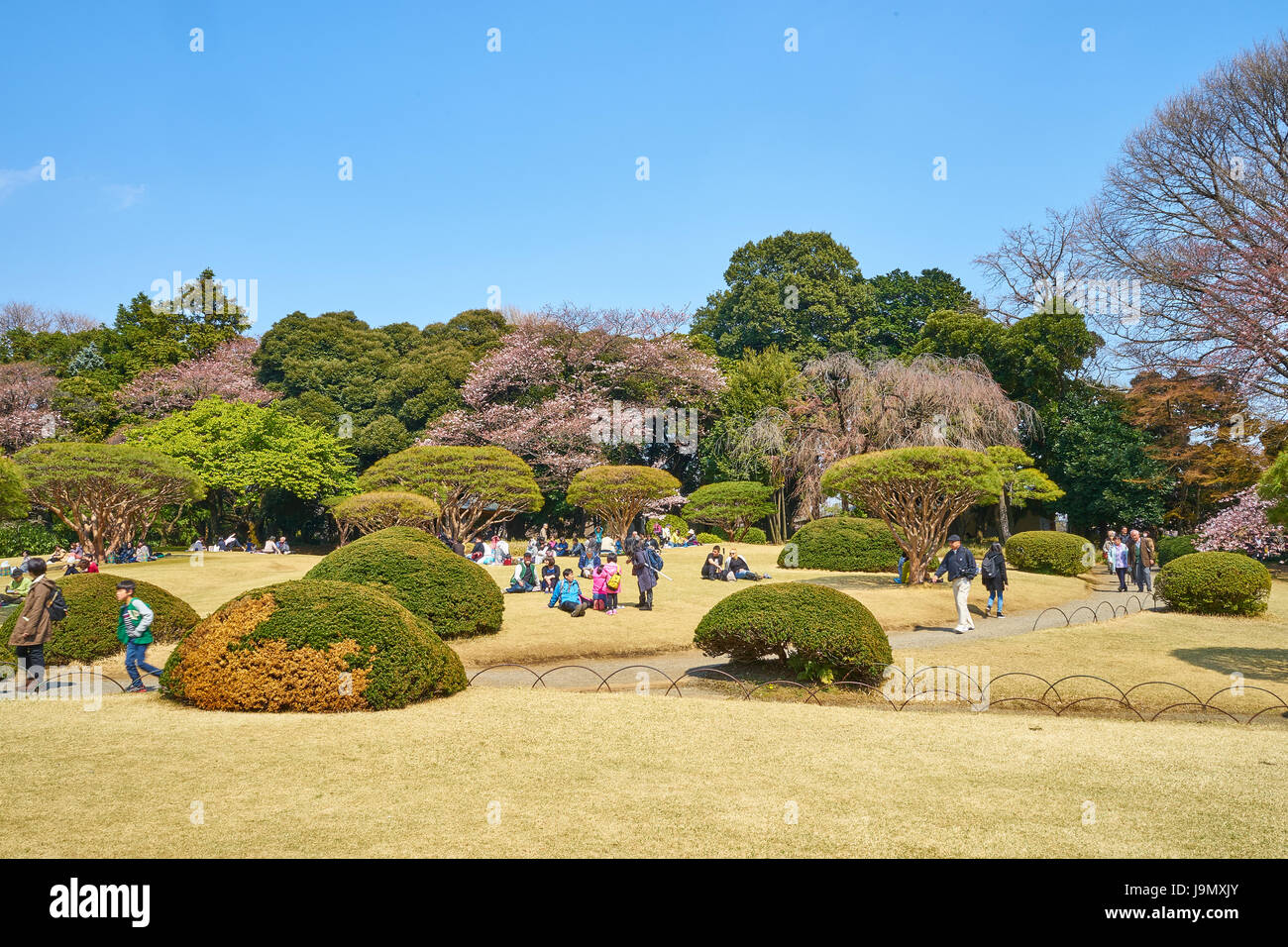 Sakura Jahreszeiten Hanami in Japan Chidorigafuchi Gärten Stockfoto