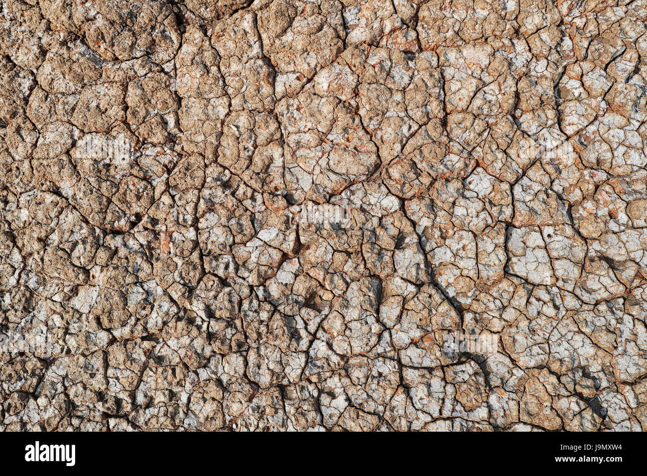 Trockene rissiges ausgedörrtes Land in Trockenheit. Stockfoto
